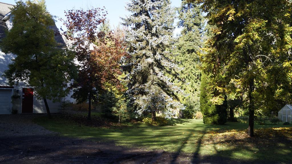 The Inn At The Ninth Hole Bed & Breakfast Salmon Arm Exterior foto